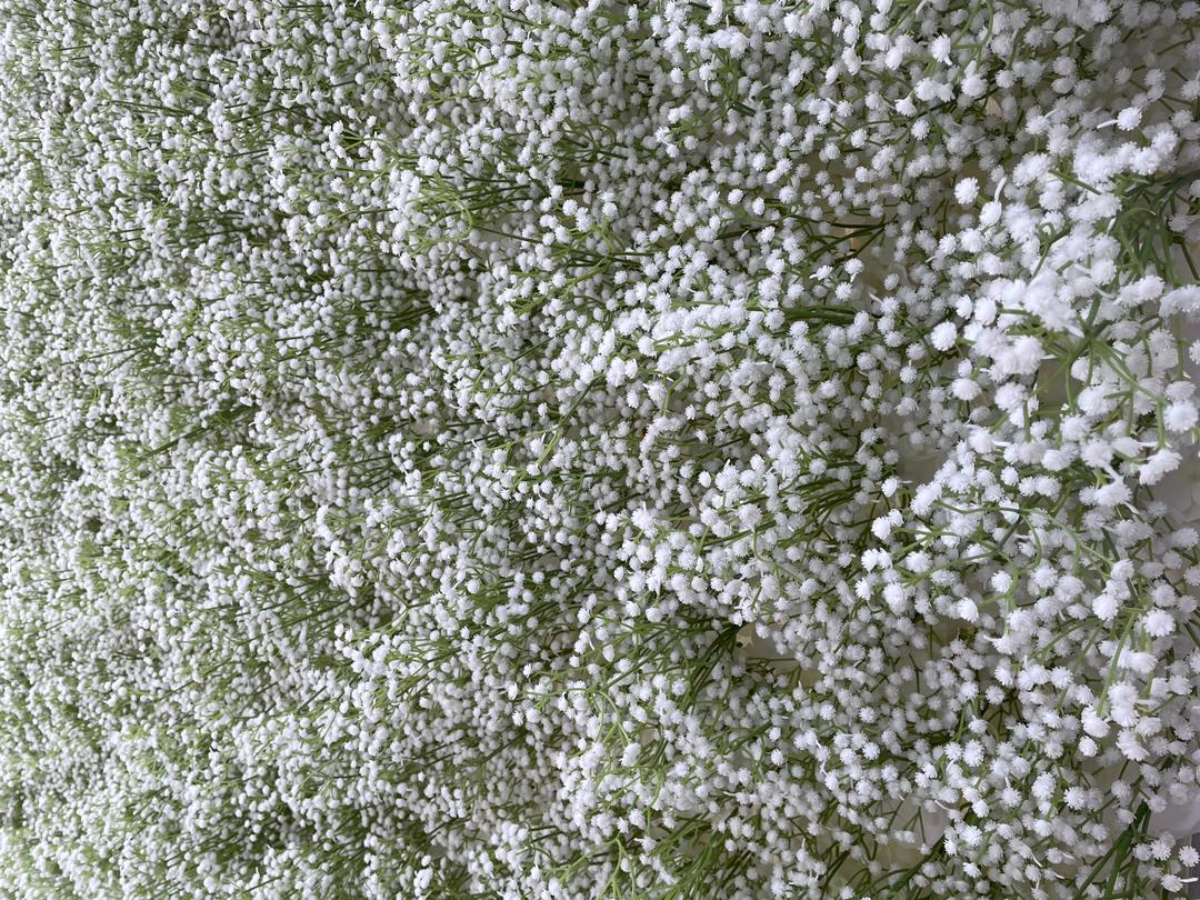 5D 'Billie' Baby's Breath Flower Wall - Cloth Backed