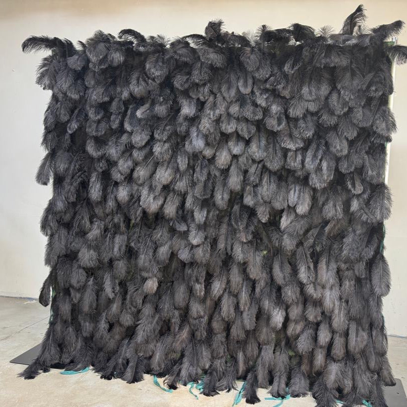 5D Luxury Black Feather Wall - Cloth Backed