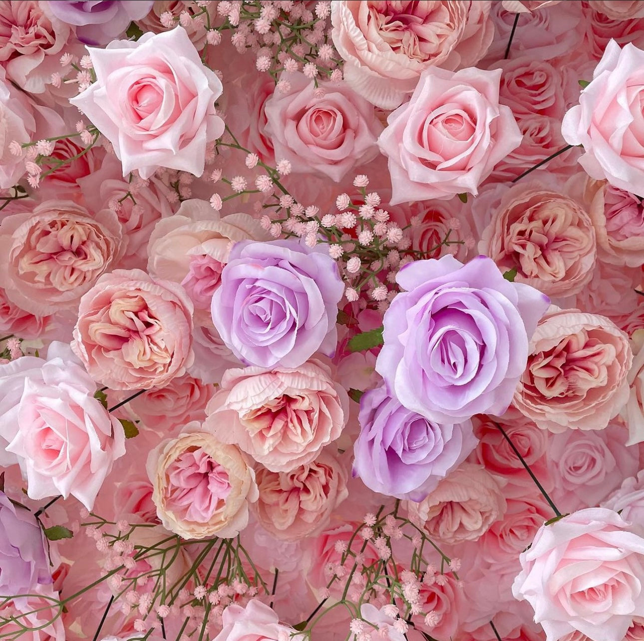 5D 'Sophia' Luxury Flower Wall - Cloth Backed