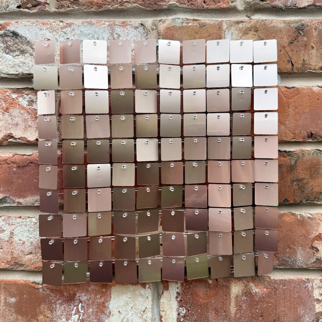 Nude Matte Sequin Wall