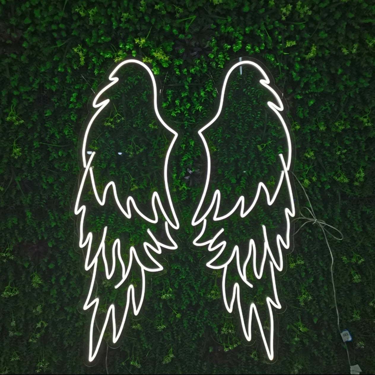 Angel Wings Neon Signs in Multiple Colours