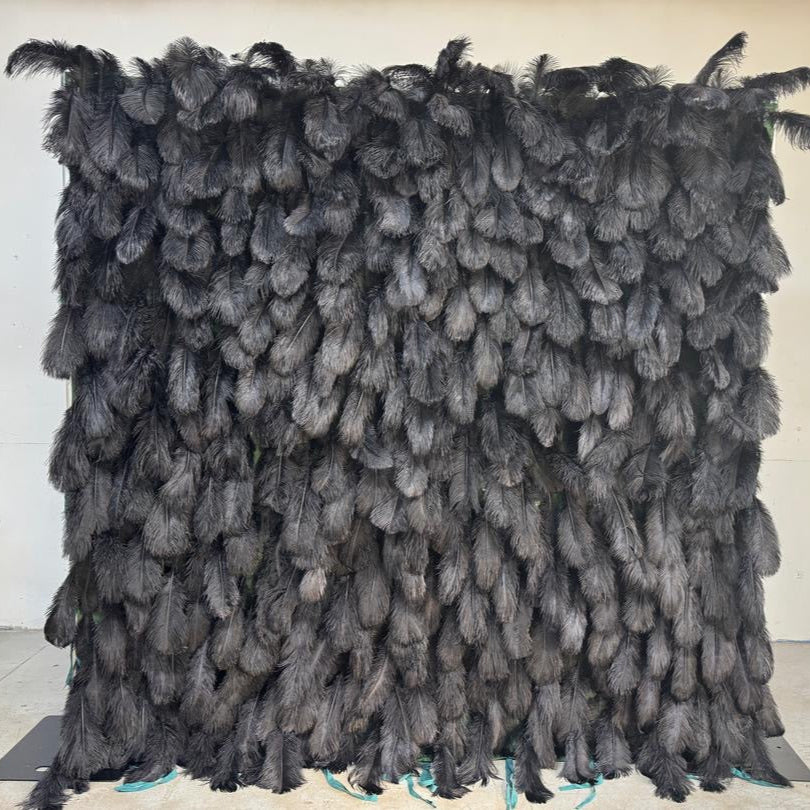5D Luxury Black Feather Wall - Cloth Backed