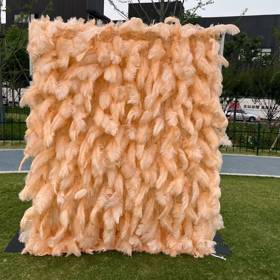 5D Luxury Peach Feather Wall - Cloth Backed