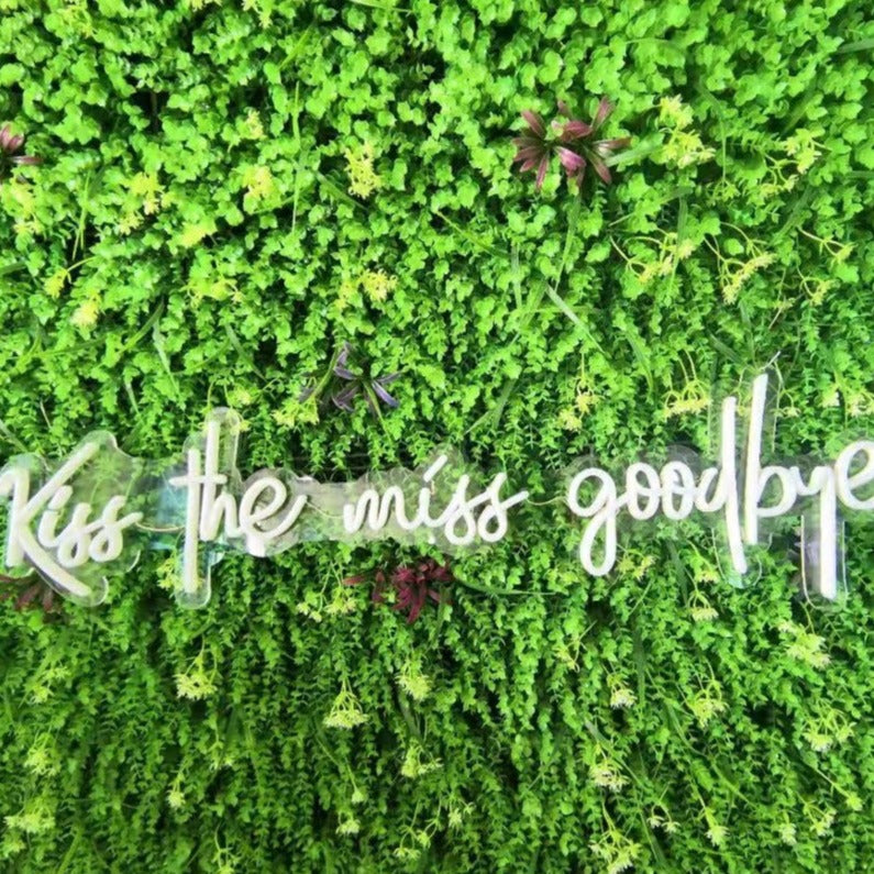 Kiss The Miss Goodbye Neon Sign in Cool White