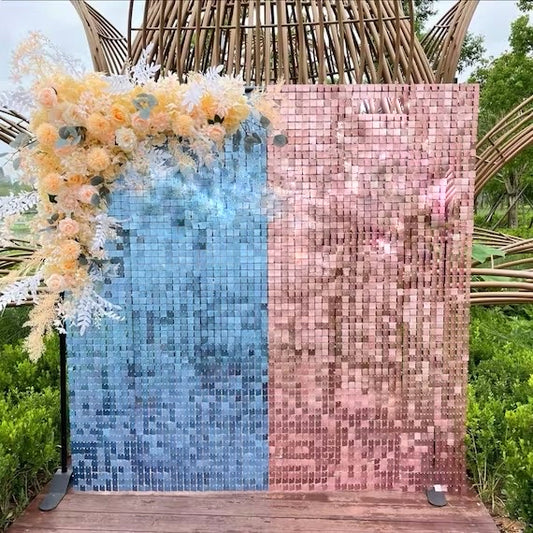 Gender Reveal Blue & Pink Matte Sequin Wall
