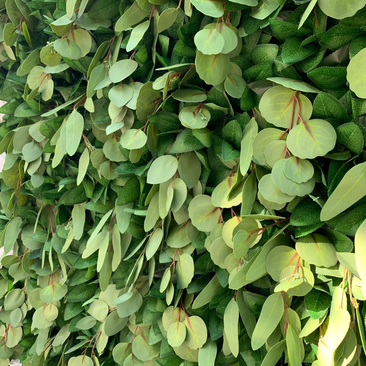 5D Green Foliage With White Roses Wall - Cloth Backed