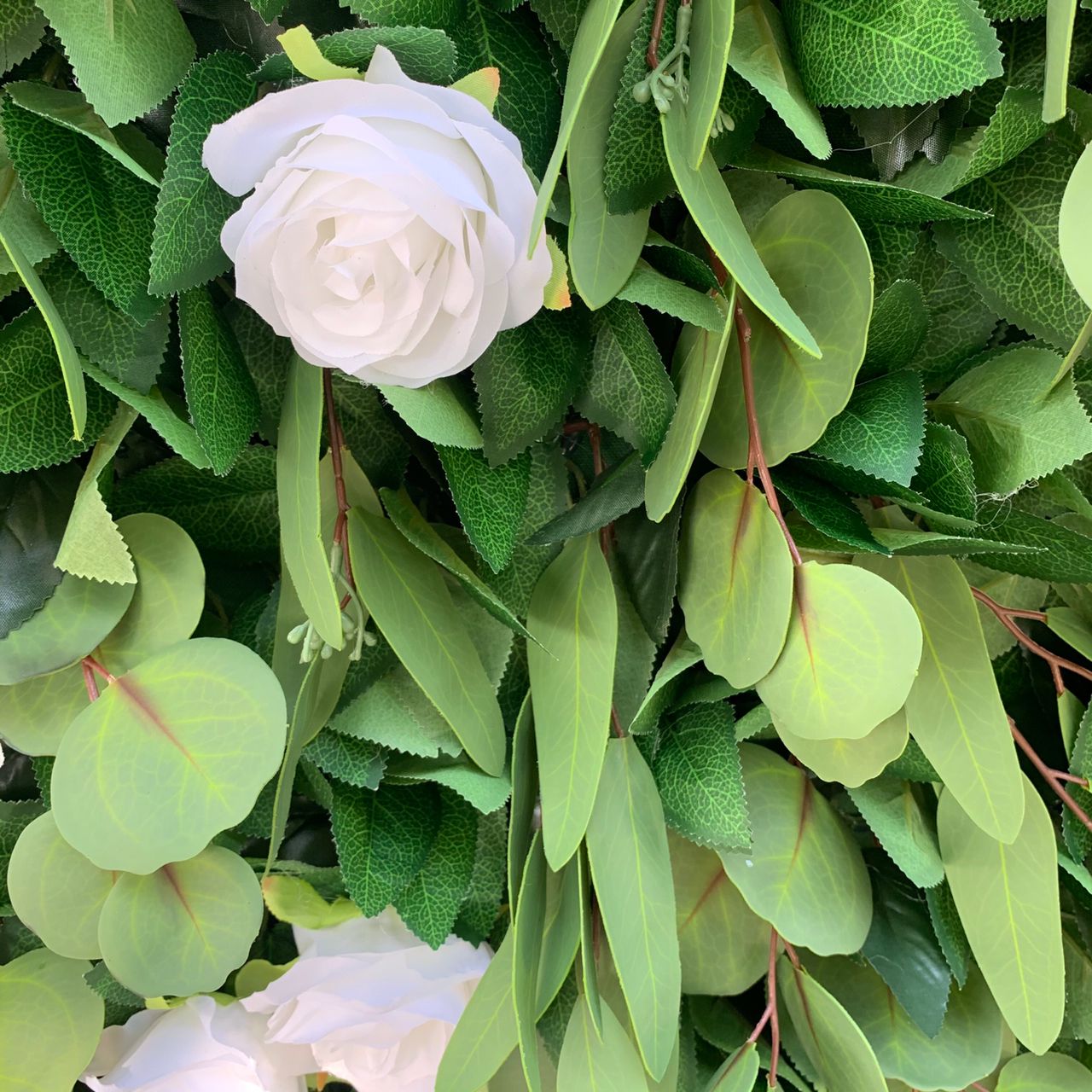 5D Green Foliage With White Roses Wall - Cloth Backed