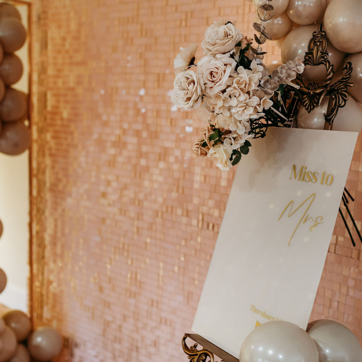 Blush Nude Double Layered Sequin Wall