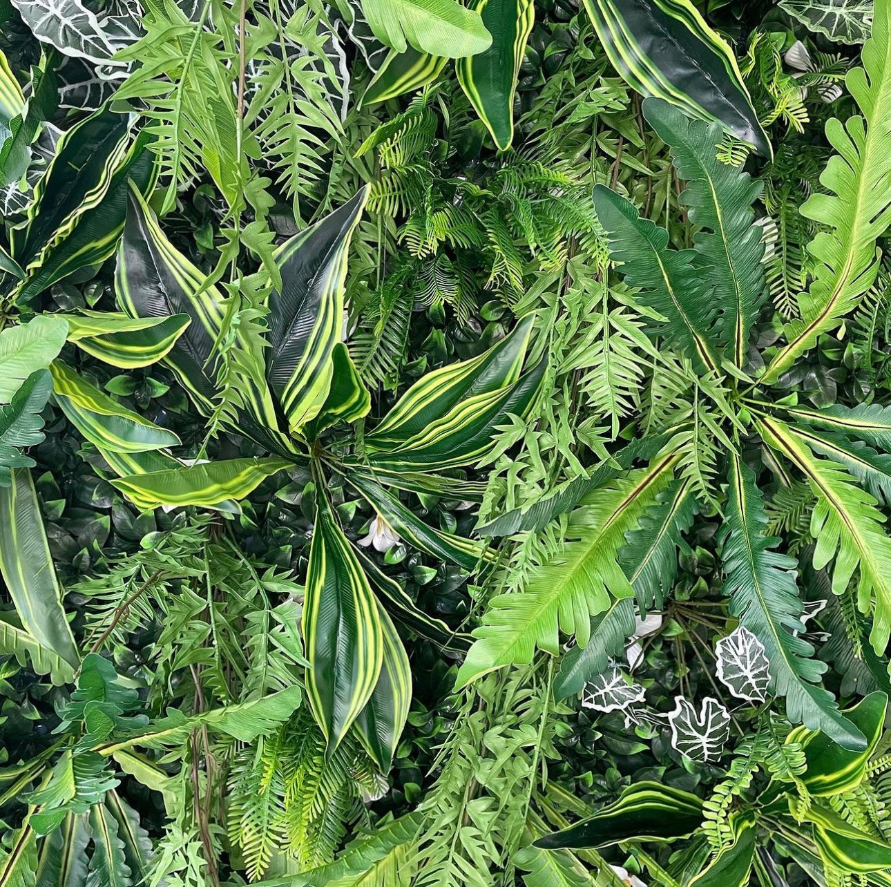 5D Jungle Foliage Wall  - Cloth Backed