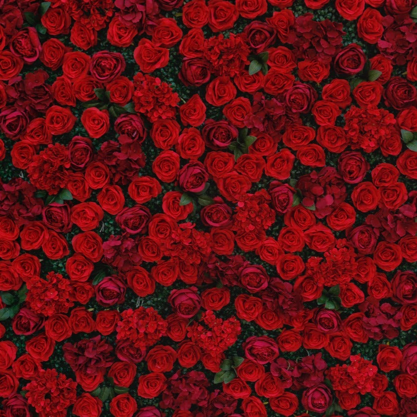 5D Deep Red Rose With Greenery Deluxe Flower Wall - Cloth Backed