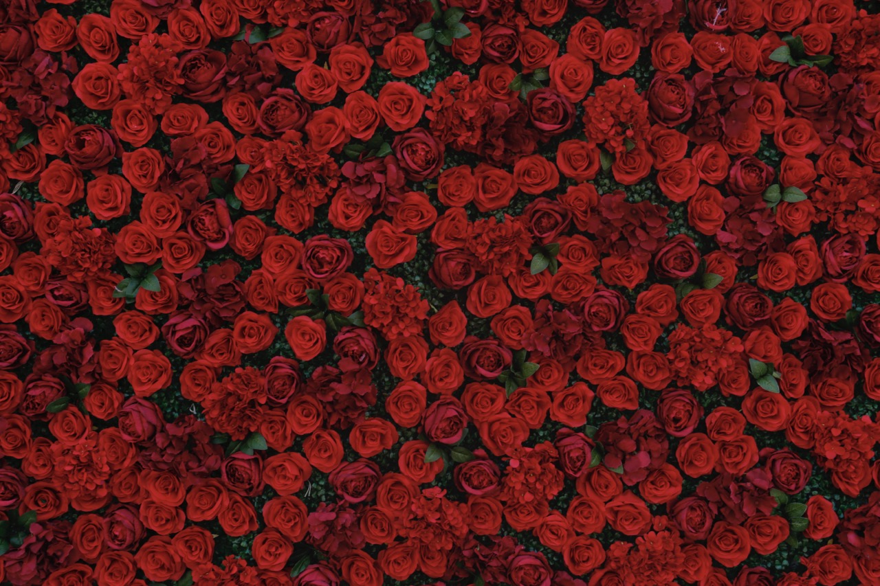 5D Deep Red Rose With Greenery Deluxe Flower Wall - Cloth Backed