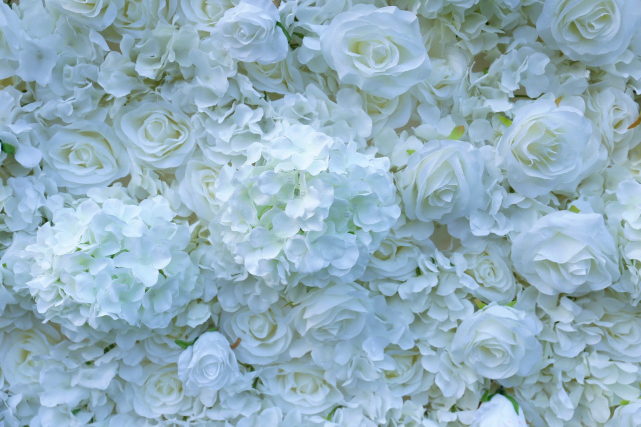 Ivory White Hydrangea Premium Flower Wall - Cloth Backed