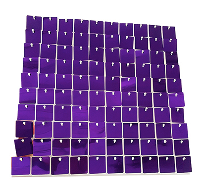 Rainbow Pride Shiny Sequin Wall