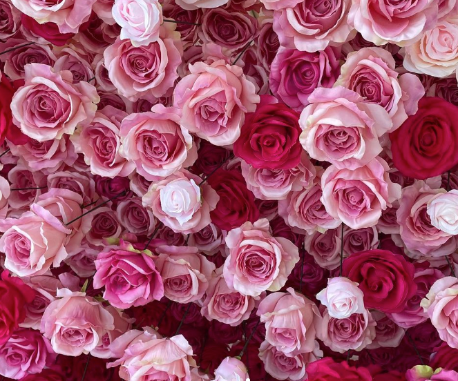 Luxury 5D 'Amelia' Flower Wall  - Cloth Backed