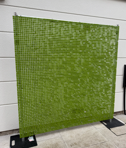 Pimento Green Sequin Wall - 49 Panels
