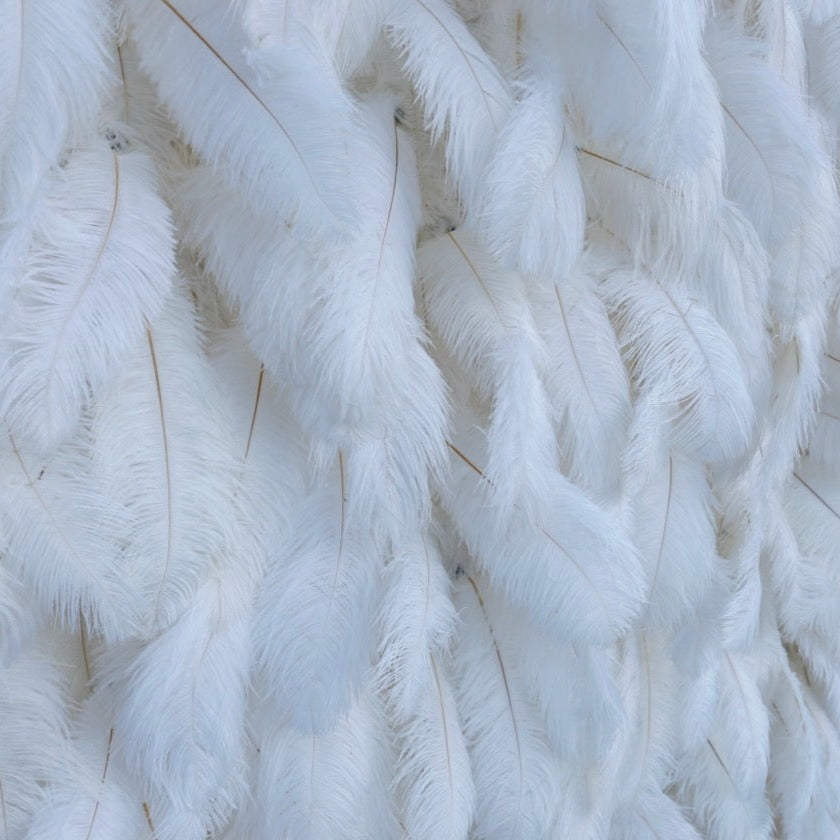 5D Luxury Ivory Feather Wall - Cloth Backed
