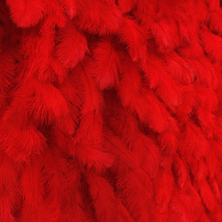 5D Luxury Red Feather Wall - Cloth Backed