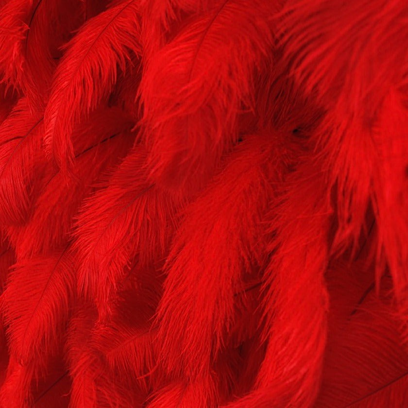 5D Luxury Red Feather Wall - Cloth Backed